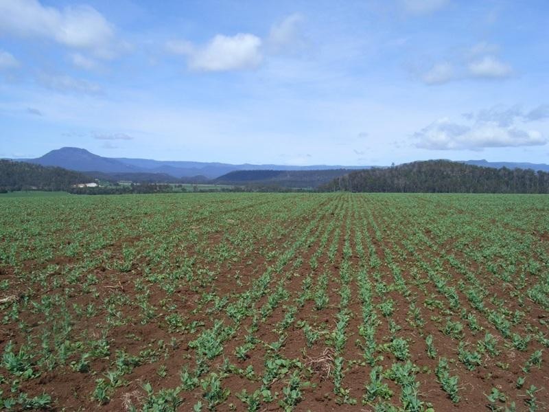 169 Mole Creek Road, Deloraine TAS 7304