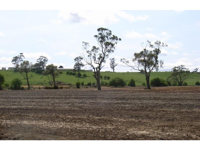 169 Mole Creek Road, Deloraine TAS 7304