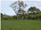 169 Mole Creek Road, Deloraine TAS 7304