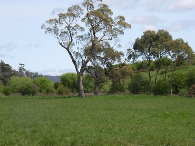 169 Mole Creek Road, Deloraine TAS 7304