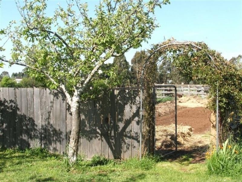 113 Reid Street, Westbury TAS 7303