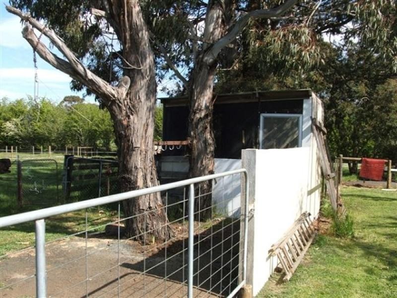 113 Reid Street, Westbury TAS 7303