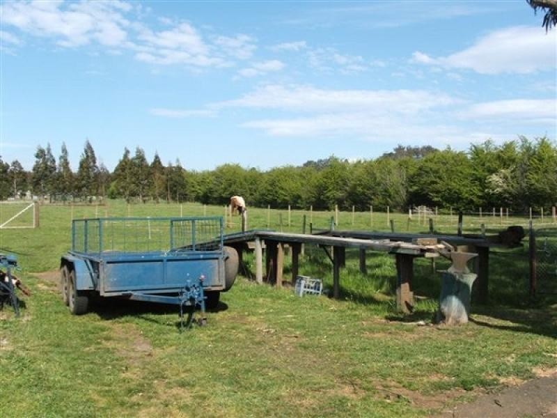 113 Reid Street, Westbury TAS 7303