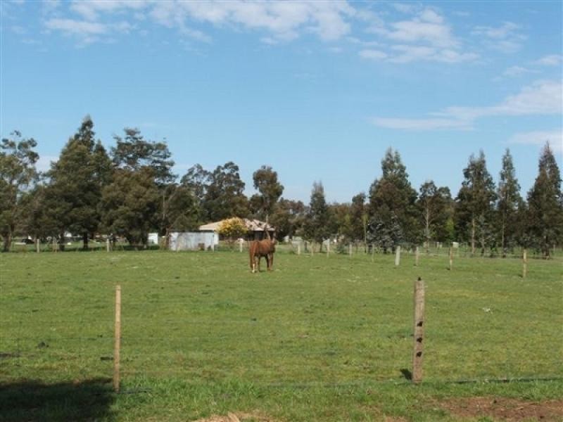 113 Reid Street, Westbury TAS 7303