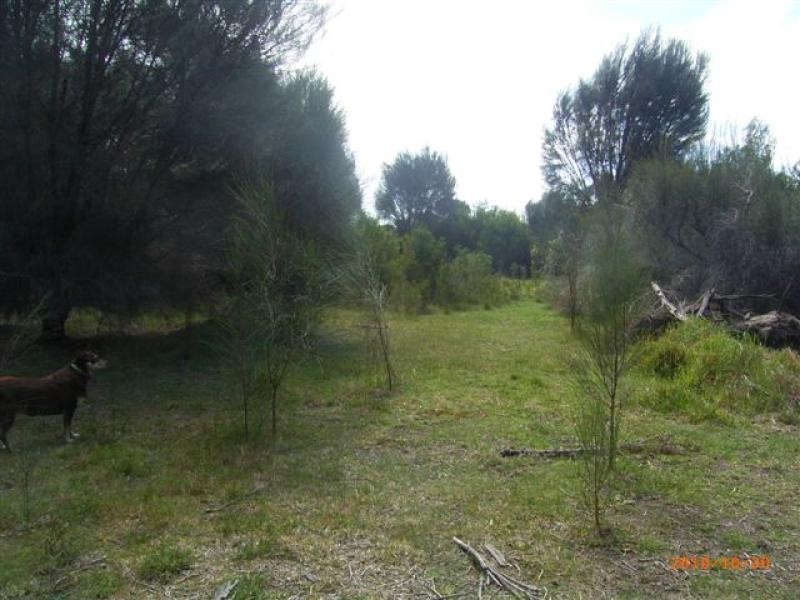 6 Boyes Road, Flinders Island TAS 7255