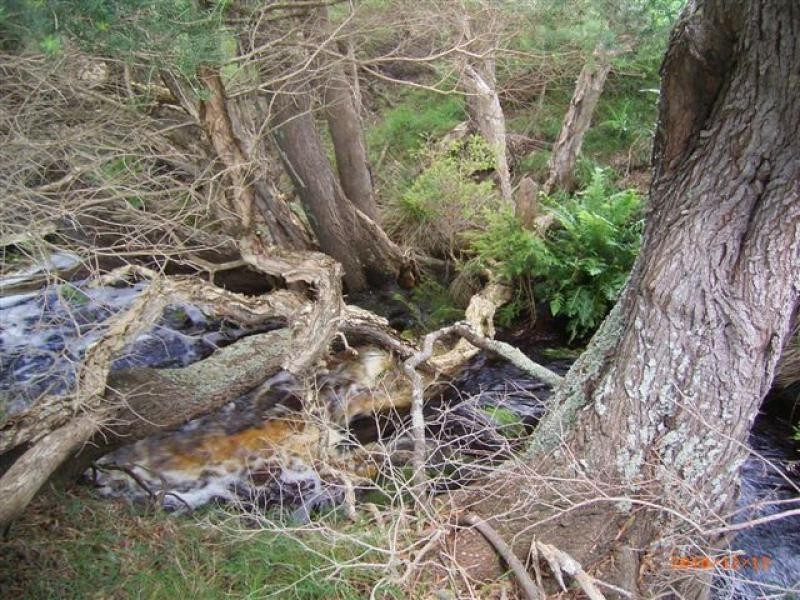 429 Coast Road, Flinders Island TAS 7255