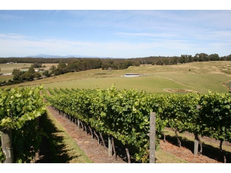 369 Greens Beach Road, Beaconsfield TAS 7270