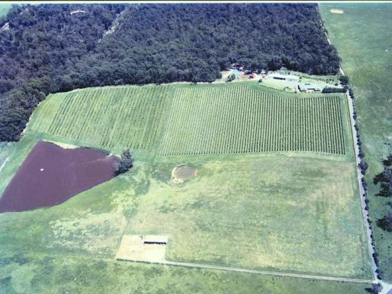 369 Greens Beach Road, Beaconsfield TAS 7270