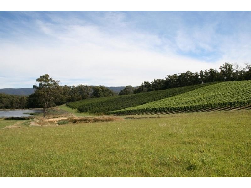 369 Greens Beach Road, Beaconsfield TAS 7270