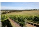 369 Greens Beach Road, Beaconsfield TAS 7270