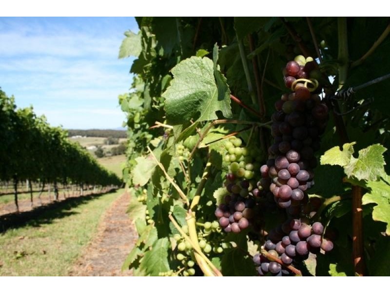 369 Greens Beach Road, Beaconsfield TAS 7270