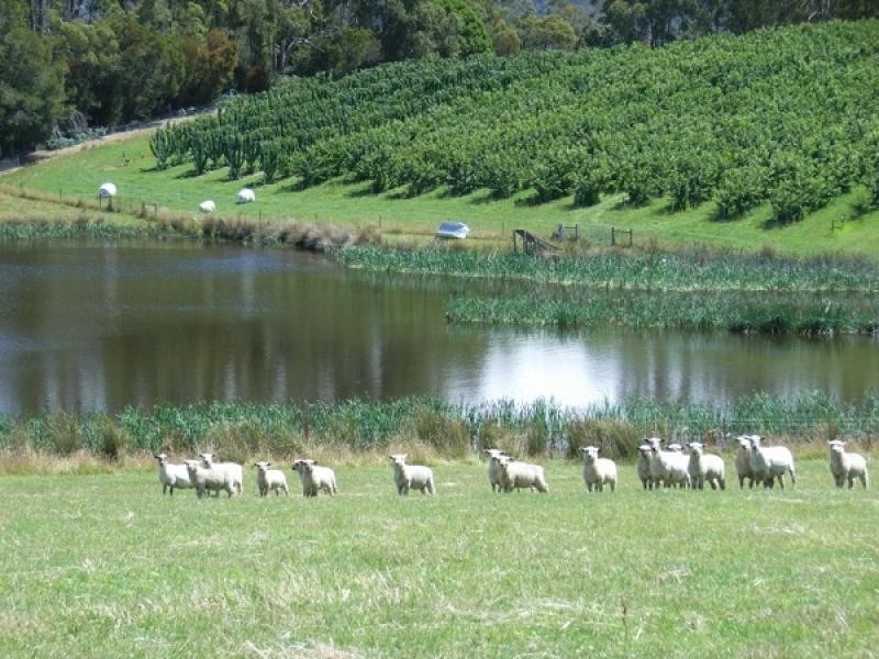 369 Greens Beach Road, Beaconsfield TAS 7270