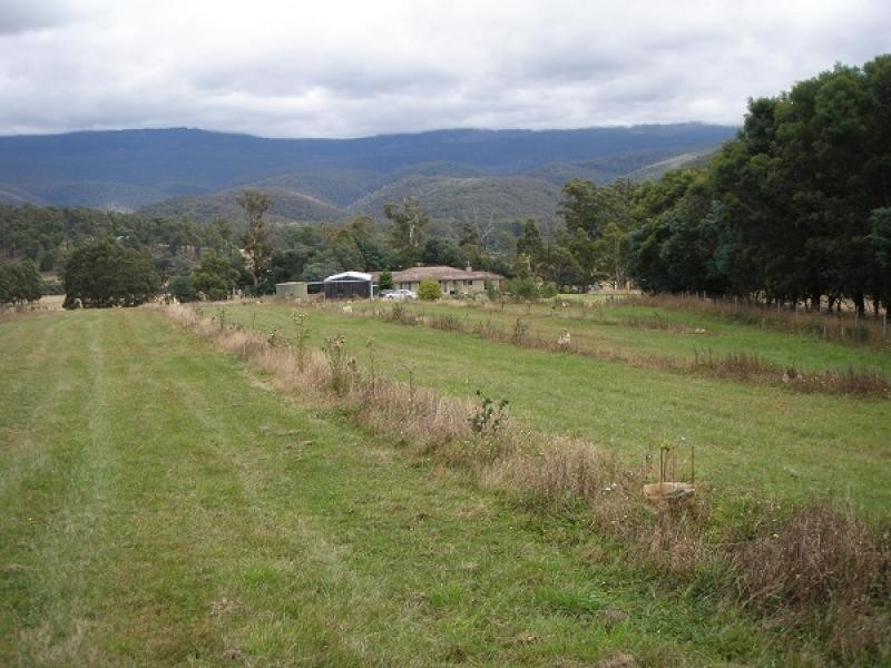 701 Tyne Road, Mathinna TAS 7214