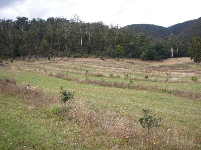 701 Tyne Road, Mathinna TAS 7214
