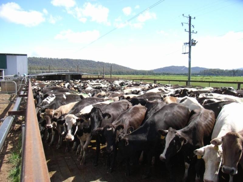 14437 Highland Lakes Road, Deloraine TAS 7304