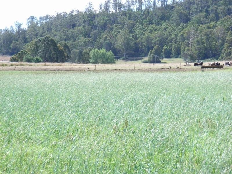 14437 Highland Lakes Road, Deloraine TAS 7304