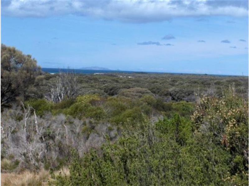 Tree 19 , North East River Road, Flinders Island TAS 7255
