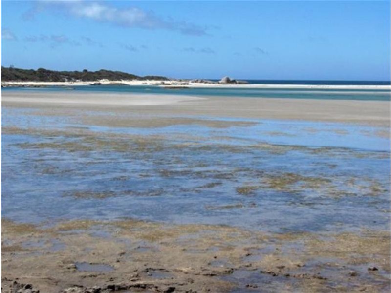 Tree 19 , North East River Road, Flinders Island TAS 7255