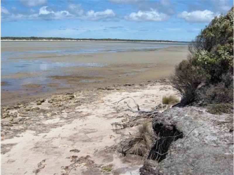 Tree 19 , North East River Road, Flinders Island TAS 7255