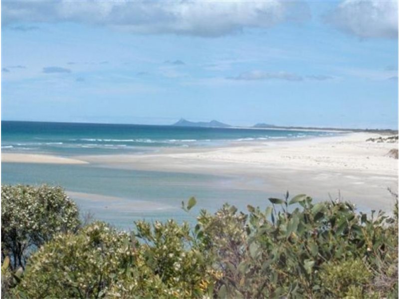 Tree 19 , North East River Road, Flinders Island TAS 7255