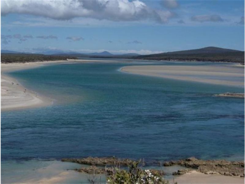 Tree 19 , North East River Road, Flinders Island TAS 7255