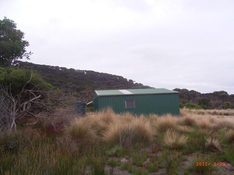 Tree 19 , North East River Road, Flinders Island TAS 7255