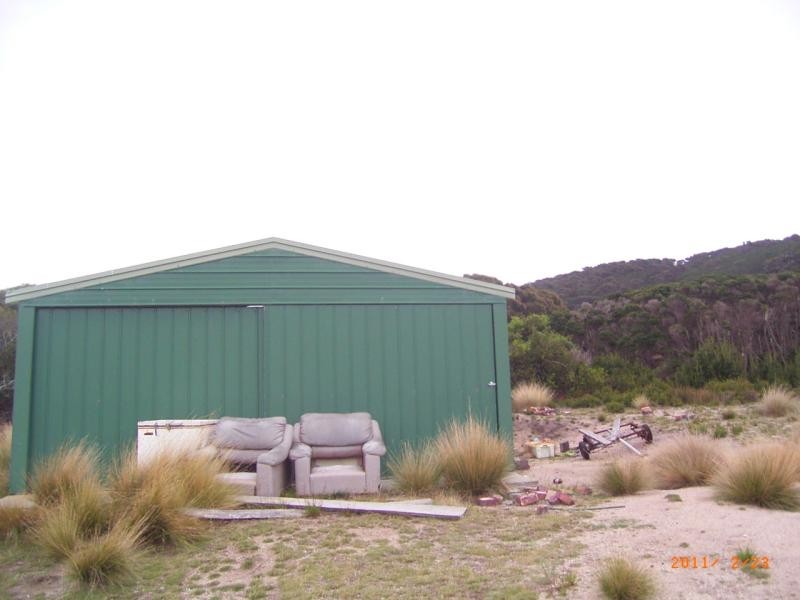 Tree 19 , North East River Road, Flinders Island TAS 7255