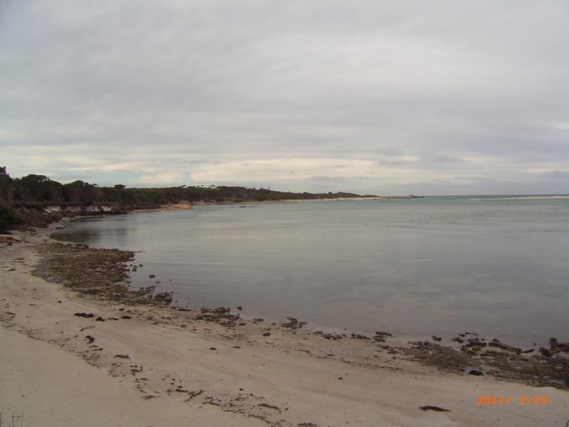 Tree 19 , North East River Road, Flinders Island TAS 7255