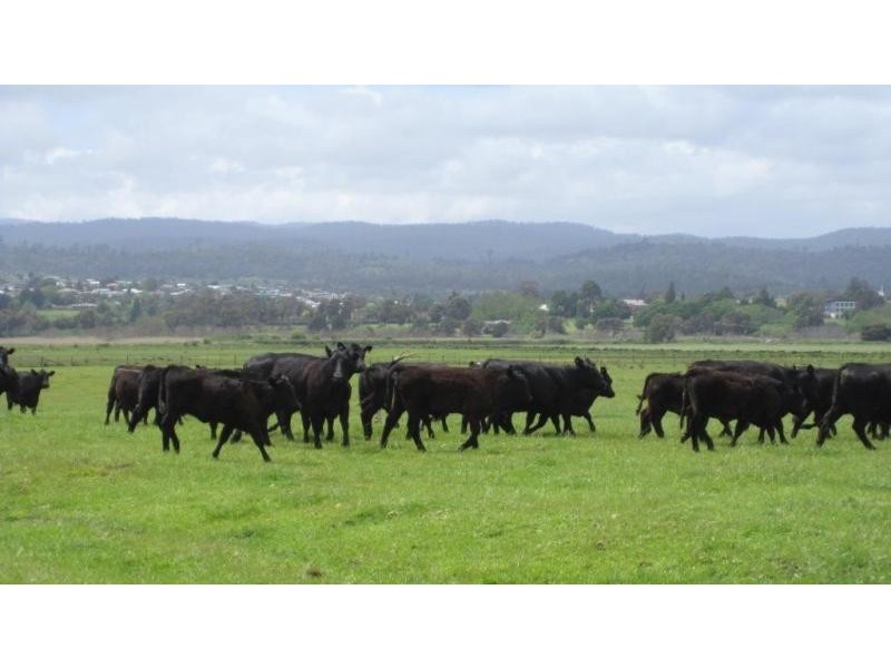 30 Brownfield Lane, Riverside TAS 7250