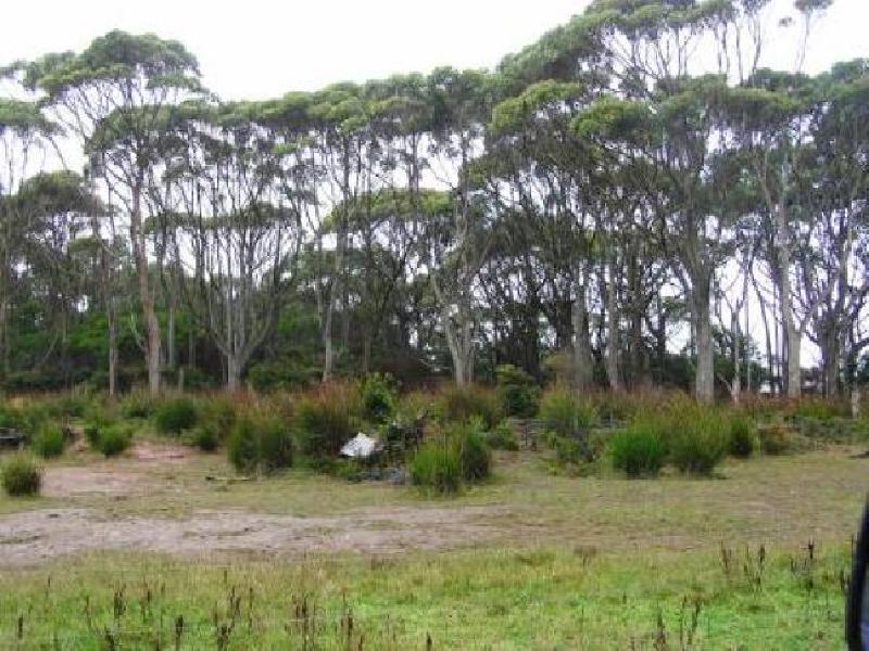 MCKAYS ROAD AND WELLS ROAD, MARRAWAH VIA, Smithton TAS 7330