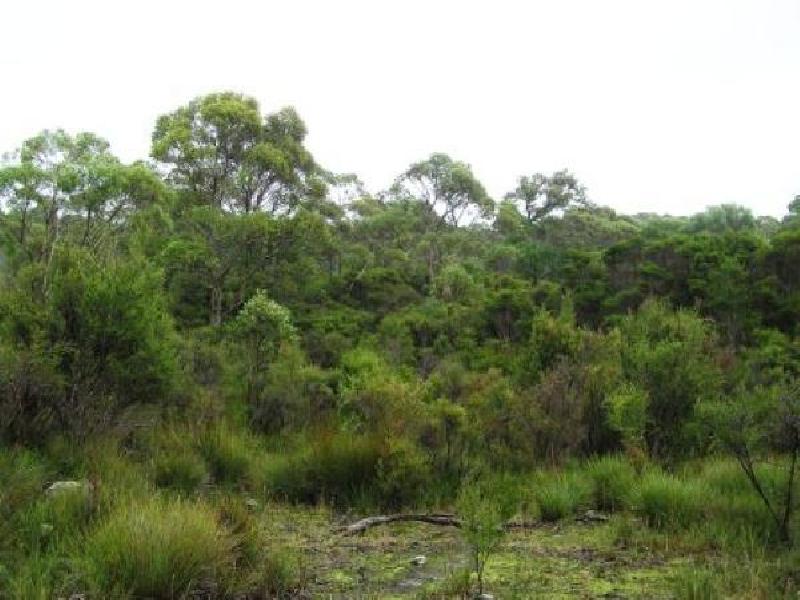 MCKAYS ROAD AND WELLS ROAD, MARRAWAH VIA, Smithton TAS 7330