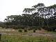 MCKAYS ROAD AND WELLS ROAD, MARRAWAH VIA, Smithton TAS 7330