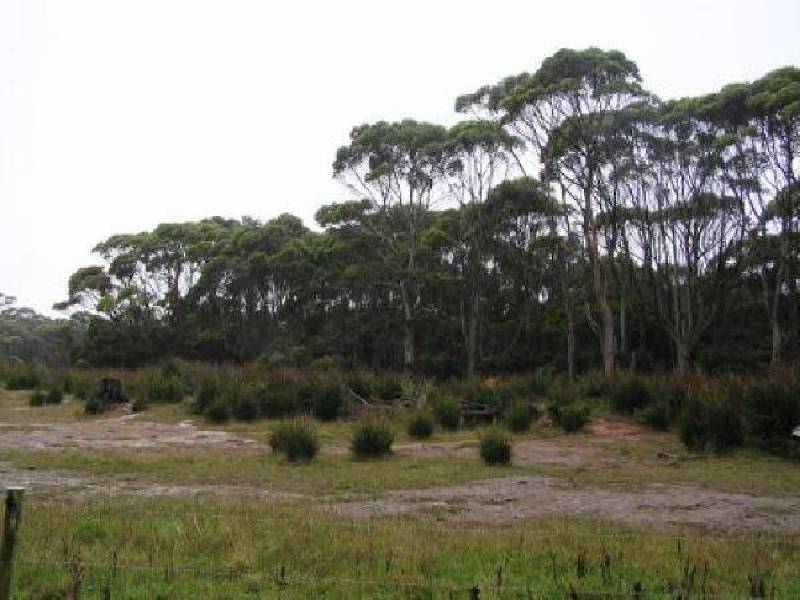 MCKAYS ROAD AND WELLS ROAD, MARRAWAH VIA, Smithton TAS 7330