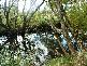 - TROWUTTA ROAD, Smithton TAS 7330