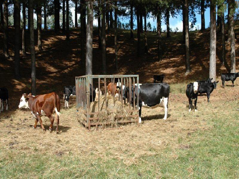 RA 1541 TROWUTTA ROAD, Smithton TAS 7330