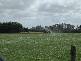 RA 1541 TROWUTTA ROAD, Smithton TAS 7330