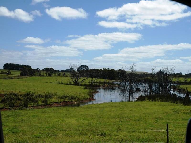 345 HOUSE’S ROAD, Lileah TAS 7330