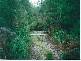 - MAGUIRES ROAD, Nabageena TAS 7330