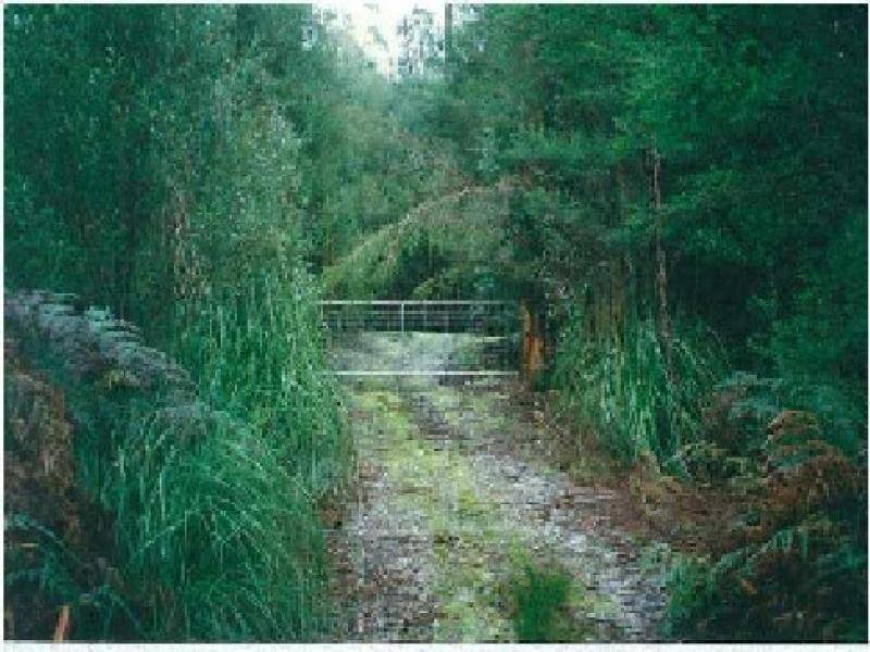 - MAGUIRES ROAD, Nabageena TAS 7330
