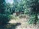 - MAGUIRES ROAD, Nabageena TAS 7330
