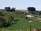 1169 LAPOINYA ROAD, Milabena TAS 7325