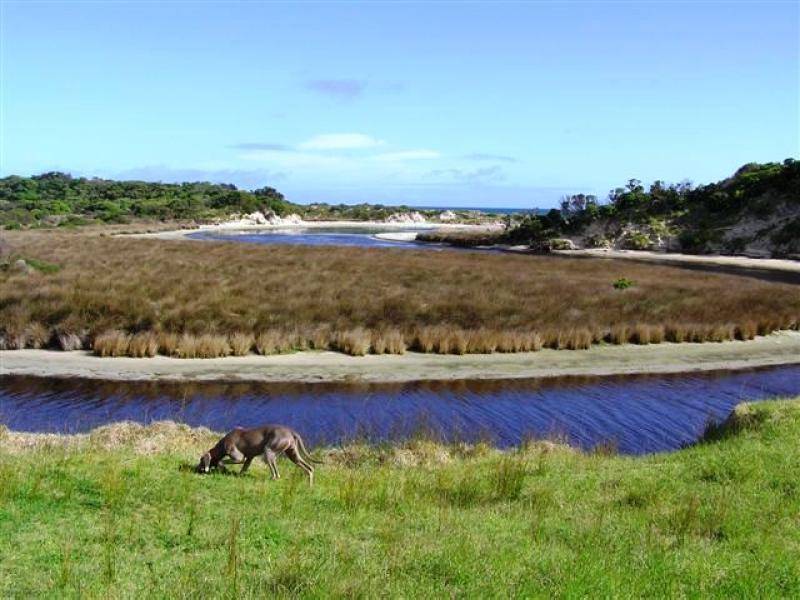 King Island TAS 7256