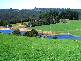 473 WEST RIDGLEY ROAD, West Ridgley TAS 7321