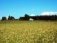 2271 TROWUTTA ROAD, Trowutta TAS 7330