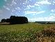 2271 TROWUTTA ROAD, Trowutta TAS 7330