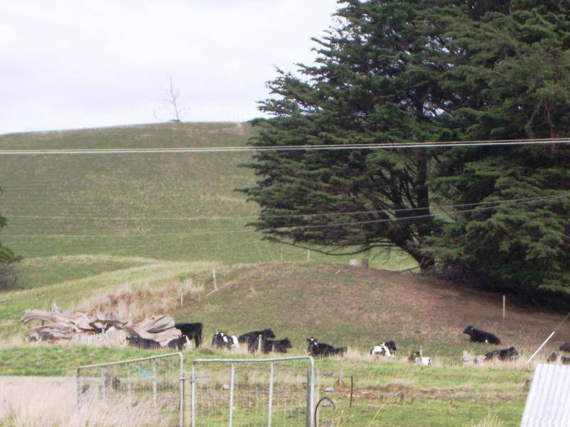 27002 BASS HIGHWAY, Redpa TAS 7330