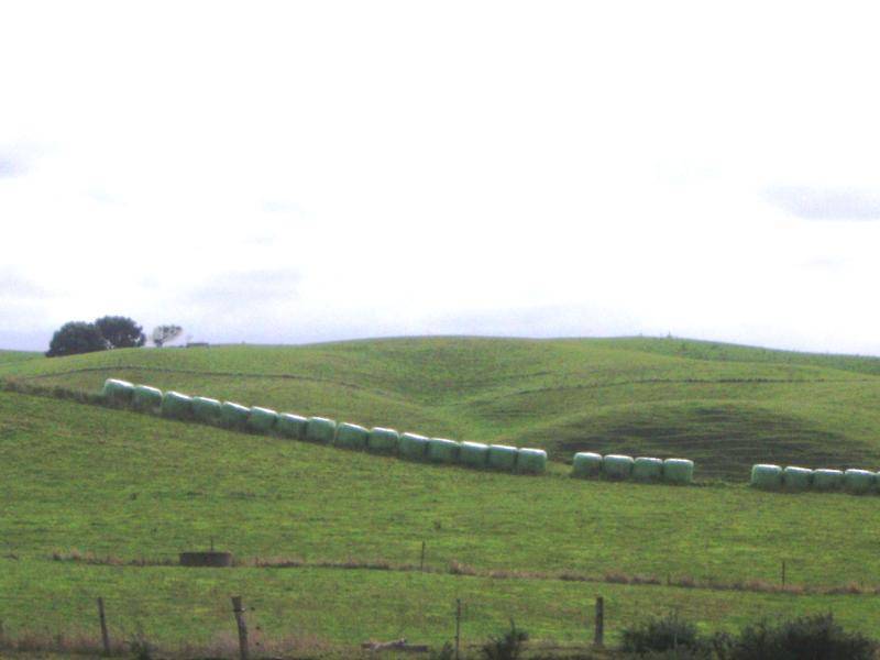 27002 BASS HIGHWAY, Redpa TAS 7330