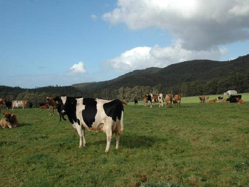 111 ALLENS ROAD, Sisters Creek TAS 7325