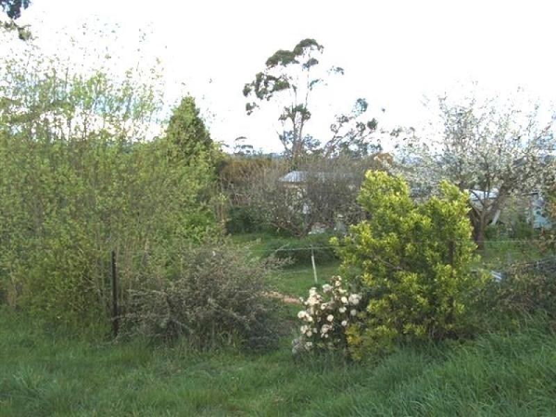 Dunorlan TAS 7304