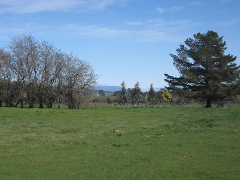 264 RITCHIE STREET, Westbury TAS 7303